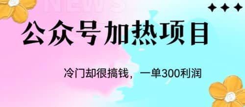冷门公众号加热项目，一单利润300+-创盟网