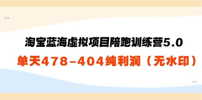 淘宝蓝海虚拟项目陪跑训练营5.0：单天478纯利润（无水印）-创盟网
