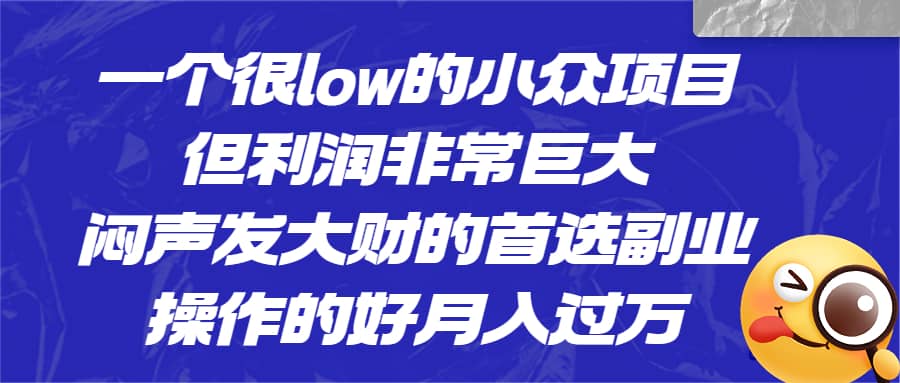 一个很low的小众项目，但利润非常巨大，闷声发大财的首选副业，月入过万-创盟网