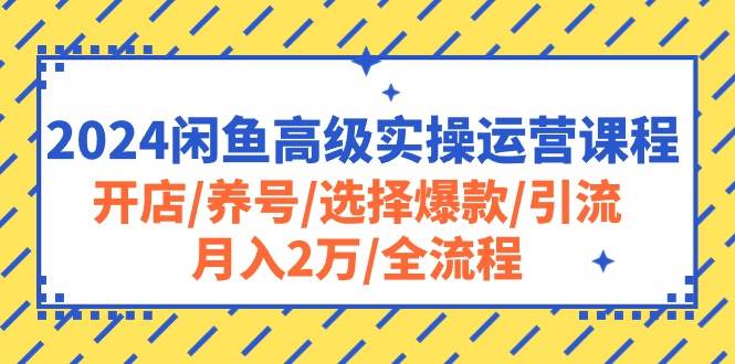 2024闲鱼高级实操运营课程：开店/养号/选择爆款/引流/月入2万/全流程-创盟网