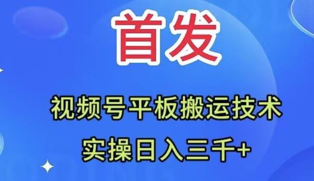 全网首发：视频号平板搬运技术，实操日入三千＋-创盟网