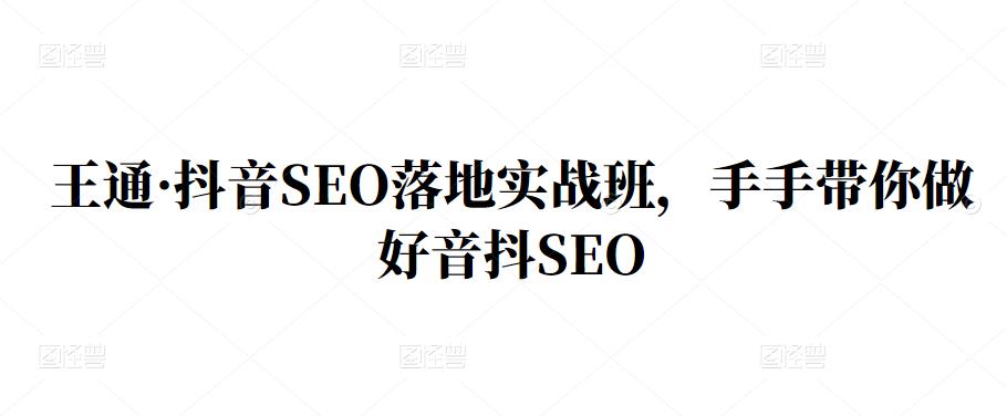王通·抖音SEO落地实战班，手‬手带你做好音抖‬‬SEO-创盟网