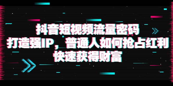 抖音短视频流量密码：打造强IP，普通人如何抢占红利，快速获得财富-创盟网