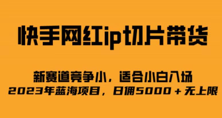 快手网红ip切片新赛道，竞争小事，适合小白 2023蓝海项目-创盟网