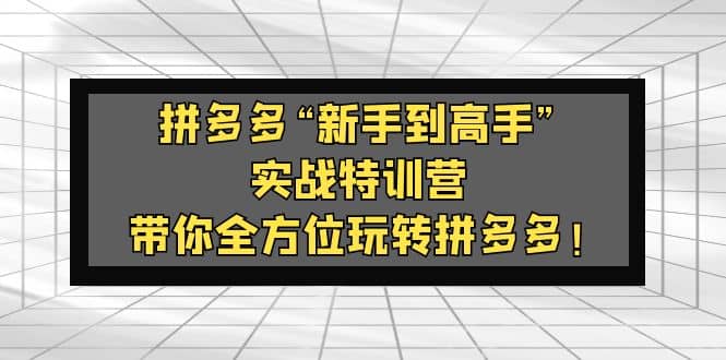 拼多多“新手到高手”实战特训营：带你全方位玩转拼多多-创盟网