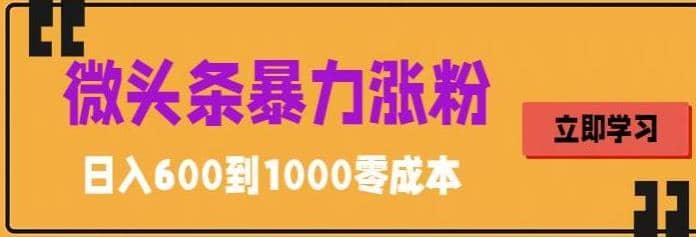 微头条暴力涨粉技巧搬运文案就能涨几万粉丝，简单0成本，日赚600-创盟网