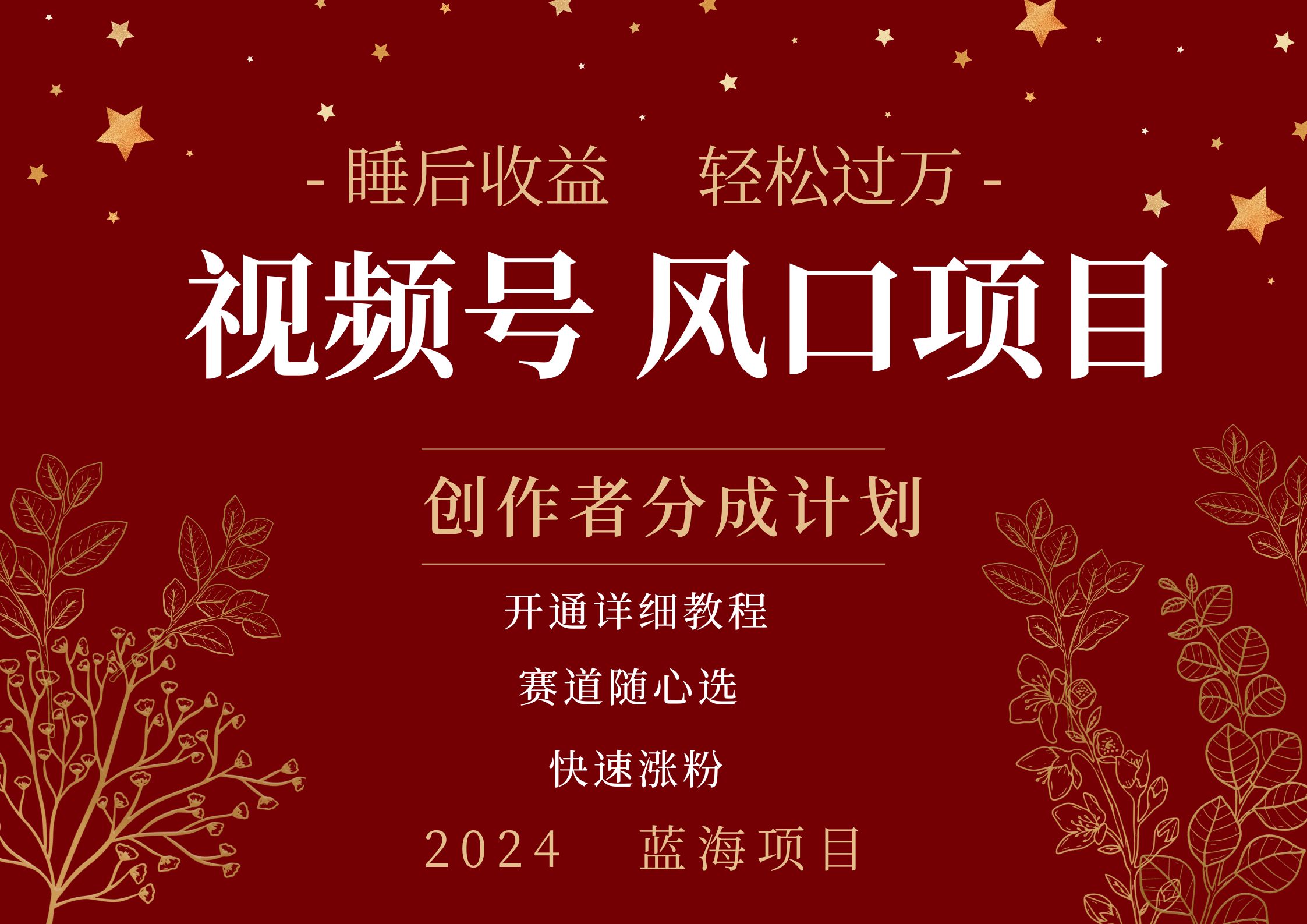 拥有睡眠收益的微信视频号大风口项目，轻松月入过万+，多赛道选择，可矩阵，玩法简单轻松上手-创盟网