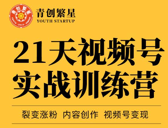 张萌21天视频号实战训练营，裂变涨粉、内容创作、视频号变现 价值298元-创盟网