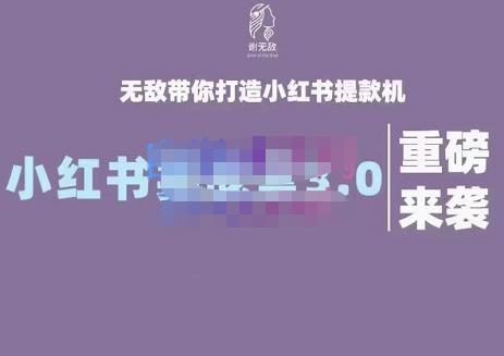 谢无敌·小红书实战营3.0，无敌带你打造小红书提款机 价值7999元-创盟网