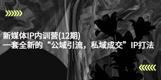 新媒体IP内训营(12期)，一套全新的“公域引流，私域成交”IP打法，直接带走-创盟网