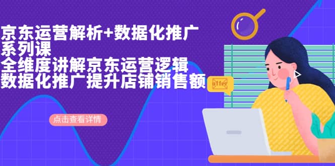 京东运营解析与数据化推广系列课，全维度讲解京东运营逻辑+数据化推广提升店铺销售额-创盟网