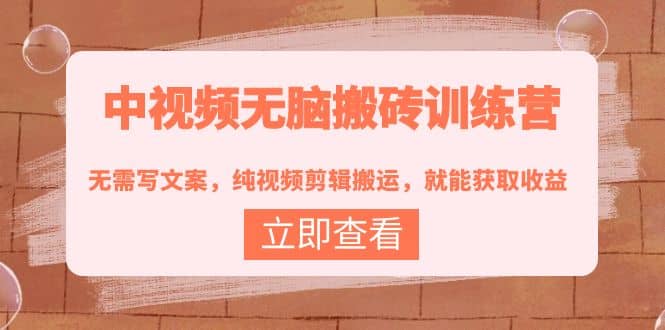 中视频无脑搬砖训练营：无需写文案，纯视频剪辑搬运，就能获取收益-创盟网