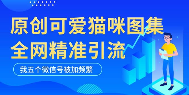 黑科技纯原创可爱猫咪图片，全网精准引流，实操5个VX号被加频繁-创盟网