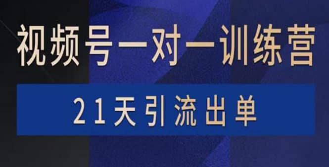 视频号训练营：带货，涨粉，直播，游戏，四大变现新方向，21天引流出单-创盟网