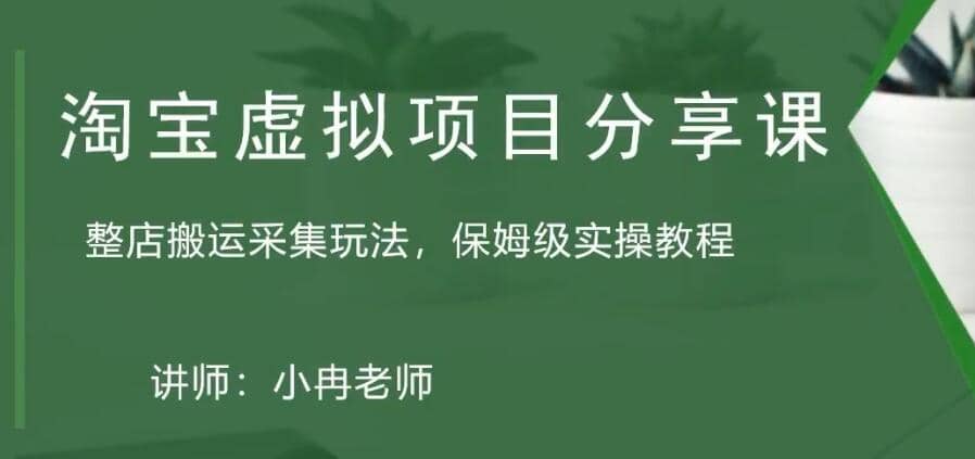 淘宝虚拟整店搬运采集玩法分享课：整店搬运采集玩法，保姆级实操教程-创盟网