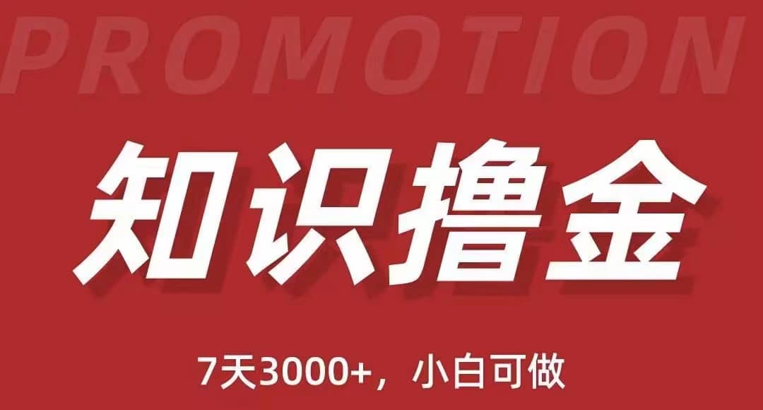 抖音知识撸金项目：执行力强当天见收益(教程+资料)-创盟网