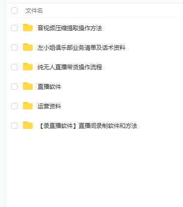左小姐-直播带货俱乐部十三行、无人直播，全套教程附：工具、文档、话术资料-创盟网