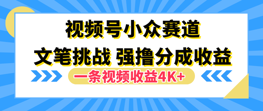 视频号小众赛道，文笔挑战，一条视频收益4K+-创盟网