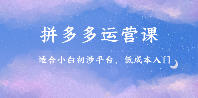 拼多多运营课，适合小白初涉平台，低成本入门-创盟网