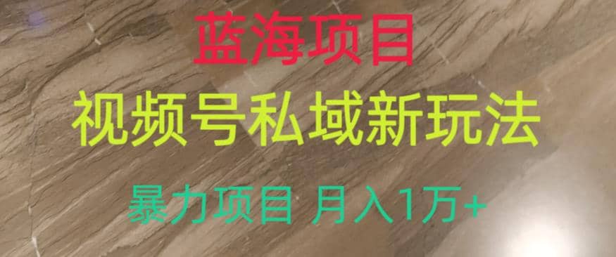 蓝海项目，视频号私域新玩法，暴力项目月入1万+【揭秘】-创盟网