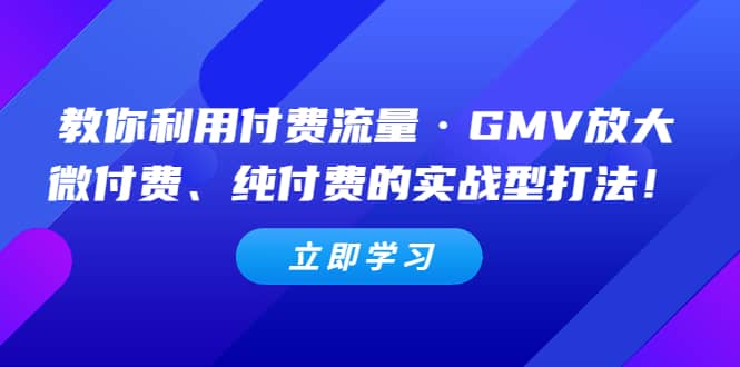 教你利用付费流量·GMV放大，微付费、纯付费的实战型打法-创盟网