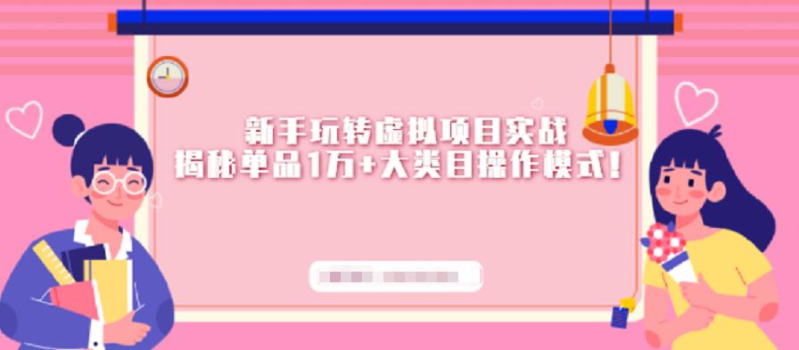 新手玩转虚拟项目实战，揭秘单品1万+大类目操作模式【视频课程】-创盟网