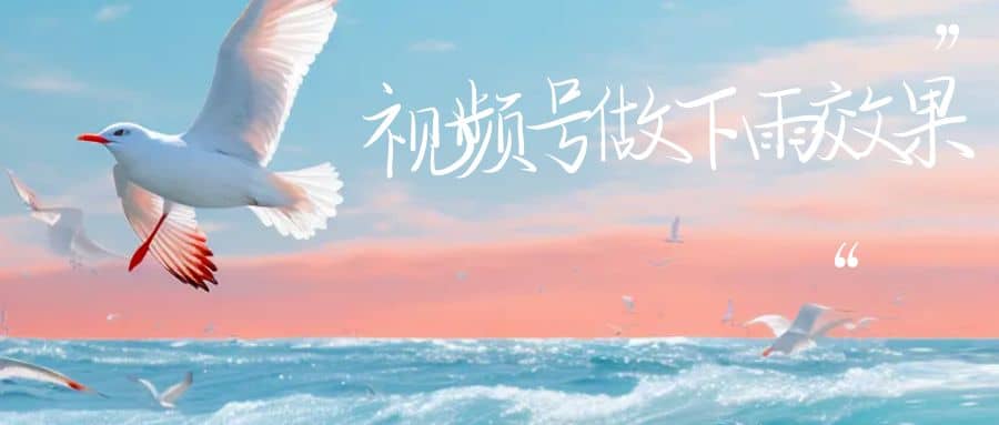 视频号做下雨视频一个账号一周涨粉10W+年入100w-创盟网