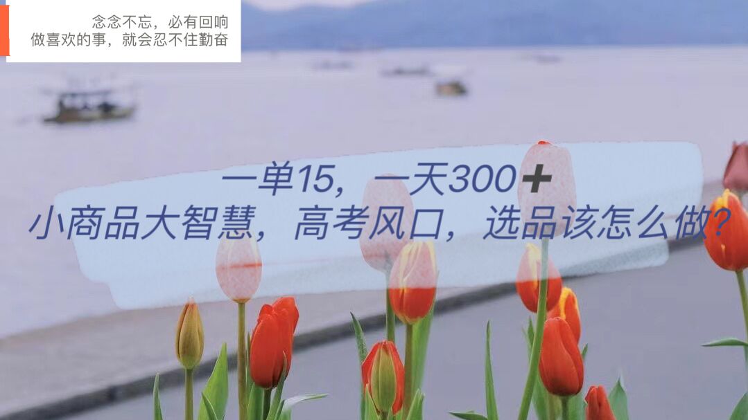 一单15，一天300+，小商品大智慧，高考风口，选品该怎么布局-创盟网