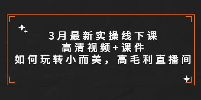 3月最新实操线下课高清视频+课件，如何玩转小而美，高毛利直播间-创盟网