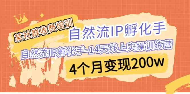 某社群收费培训：自然流IP 孵化手-14天线上实操训练营 4个月变现200w-创盟网