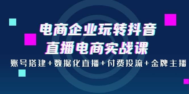 电商企业玩转抖音直播电商实战课：账号搭建+数据化直播+付费投流+金牌主播-创盟网