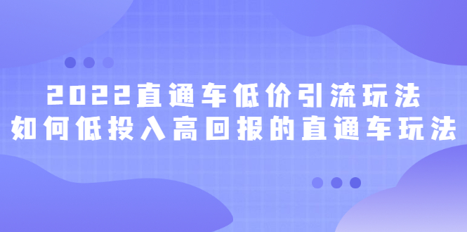 2022直通车低价引流玩法，教大家如何低投入高回报的直通车玩法-创盟网