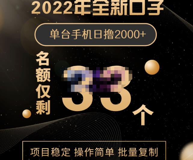 2022年全新口子，手机批量搬砖玩法，一部手机日撸2000+-创盟网