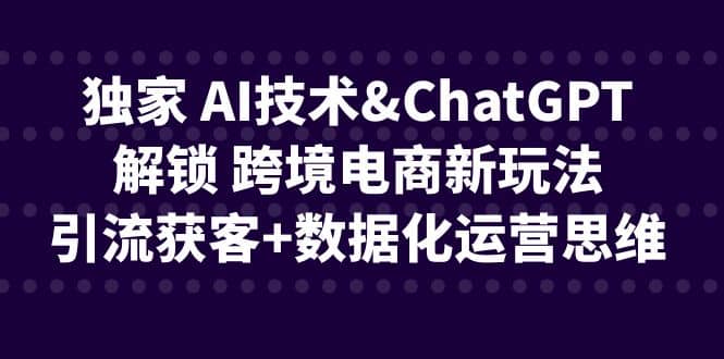 独家 AI技术ChatGPT解锁 跨境电商新玩法，引流获客+数据化运营思维-创盟网