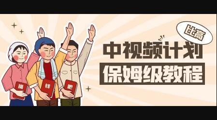 中视频项目，目前靠这个项目养了11人团队【视频课程】-创盟网