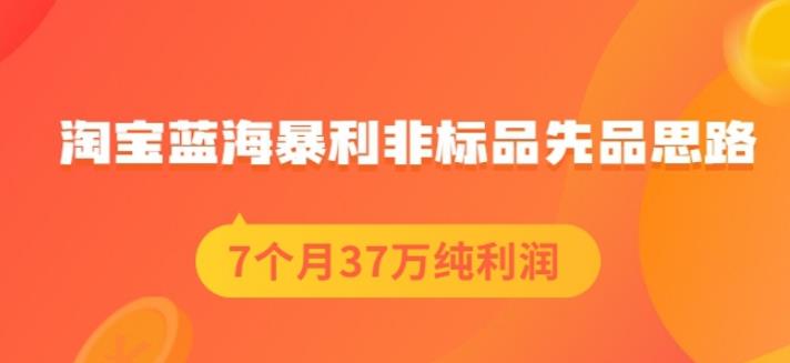 盗坤淘宝蓝海暴利非标品先品思路，7个月37万纯利润，压箱干货分享！【付费文章】-创盟网