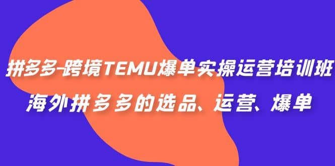拼多多-跨境TEMU爆单实操运营培训班，海外拼多多的选品、运营、爆单-创盟网