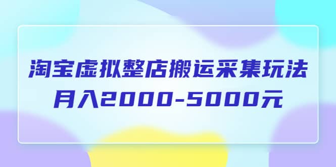 淘宝虚拟整店搬运采集玩法分享课：月入2000-5000元（5节课）-创盟网