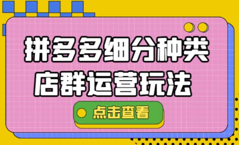 拼多多细分种类店群运营玩法3.0，11月最新玩法，小白也可以操作-创盟网
