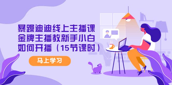 暴躁迪迪线上主播课，金牌主播教新手小白如何开播（15节课时）-创盟网