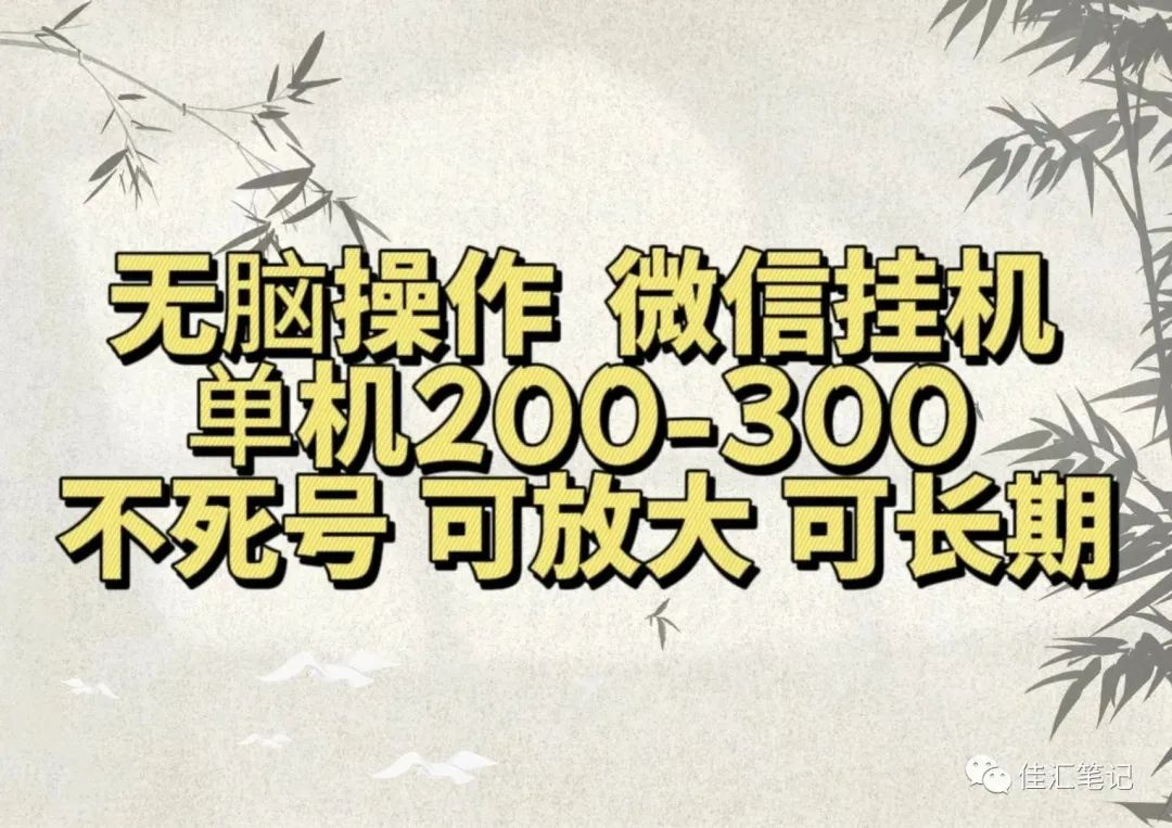 无脑操作微信视频号挂机单机200-300一天，不死号，可放大，工作室实测-创盟网