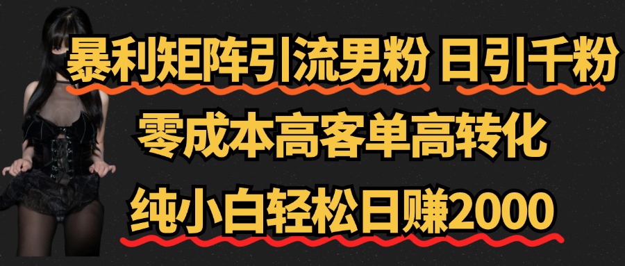 暴利矩阵引流男粉（日引千粉），零成本高客单高转化，纯小白轻松日赚2000+-创盟网