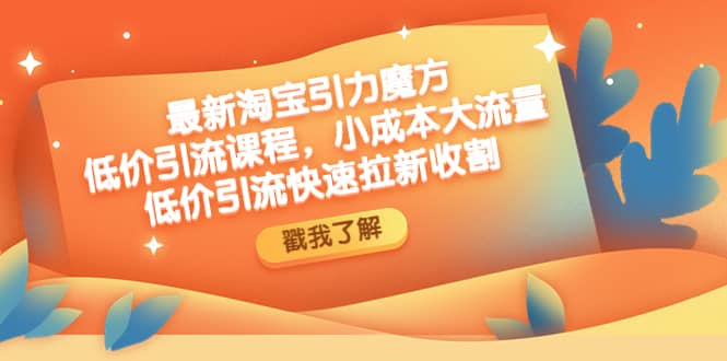 最新淘宝引力魔方低价引流实操：小成本大流量-创盟网