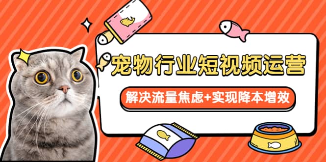 宠物/行业短视频运营 流量增长的一层窗户纸 解决流量焦虑+实现降本增效-创盟网