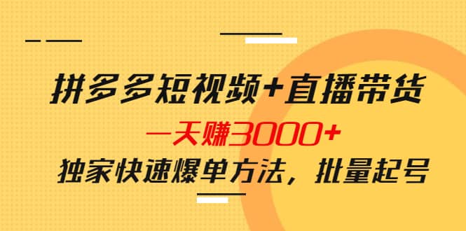 拼多多短视频+直播带货，一天赚3000+独家快速爆单方法，批量起号-创盟网