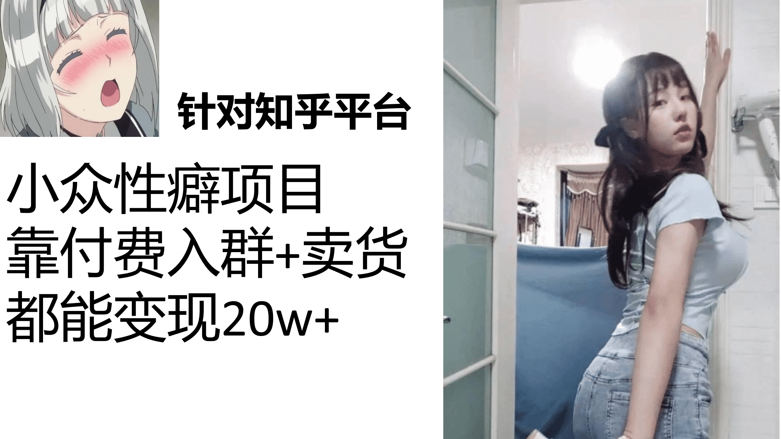 知乎小众性癖项目，Lsp的钱才是最好赚的，付费建群+卖货变现20w-创盟网