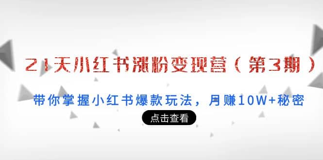21天小红书涨粉变现营（第3期）：带你掌握小红书爆款玩法，月赚10W+秘密-创盟网