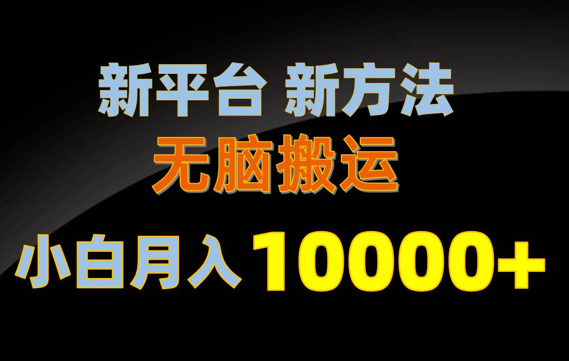 新平台新方法，无脑搬运，月赚10000+，小白轻松上手不动脑-创盟网