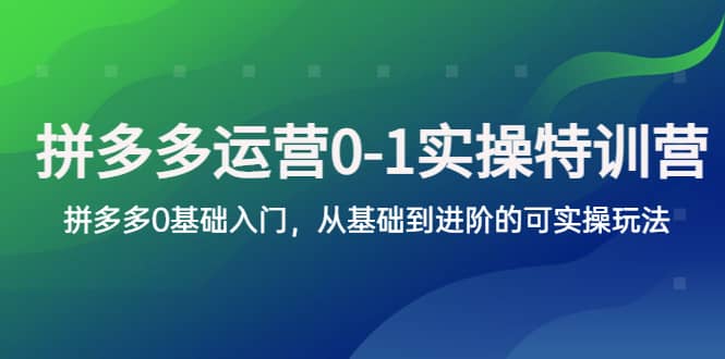 拼多多-运营0-1实操训练营，拼多多0基础入门，从基础到进阶的可实操玩法-创盟网