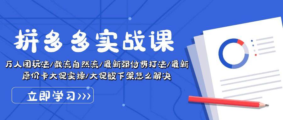 拼多多·实战课：万人团玩法/截流自然流/最新强付费打法/最新原价卡大促..-创盟网